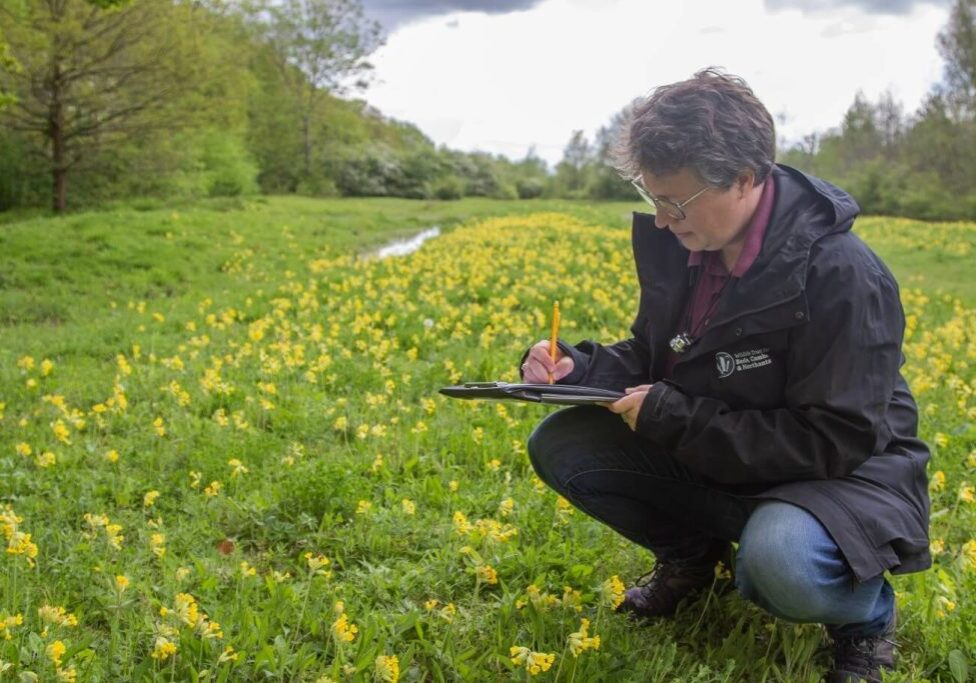 Introducing Net Gain Cambridgeshire & Peterborough: A New Tool for Nature Recovery