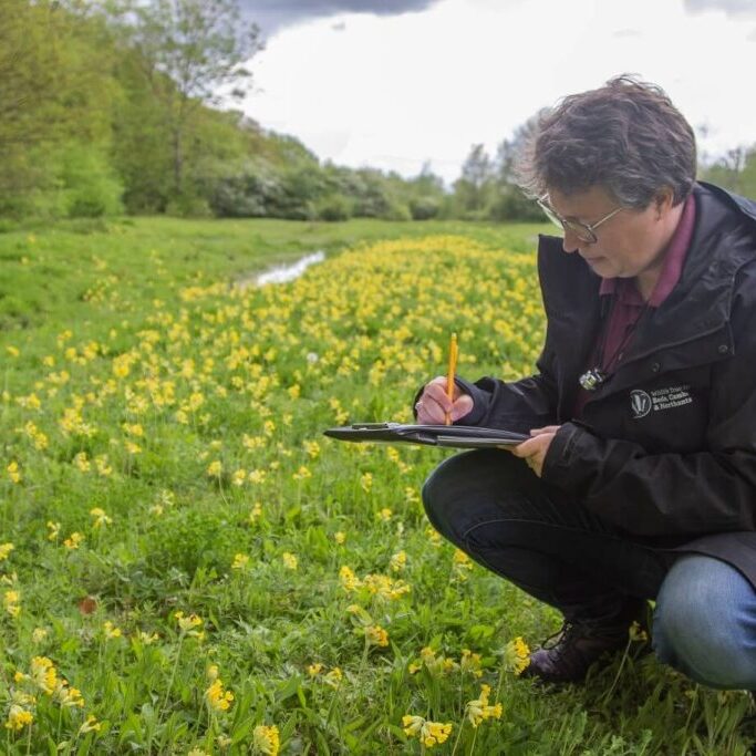 Introducing Net Gain Cambridgeshire & Peterborough: A New Tool for Nature Recovery